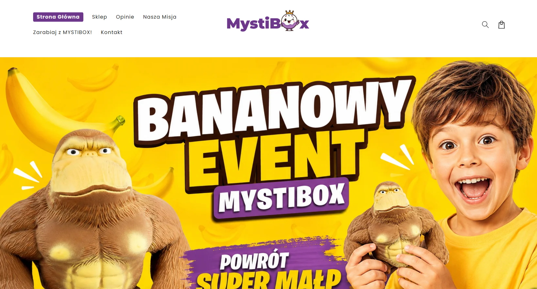 Na sprzedaż ugruntowana w Polsce marka e-commerce MYSTIBOX